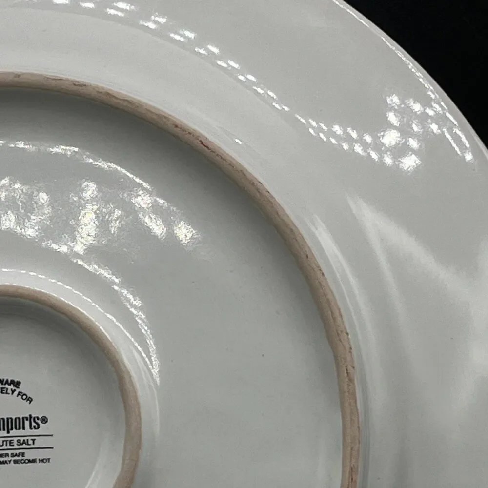 Pier 1 Imports Spice Route Salt Stoneware Dinner Plate 10.5